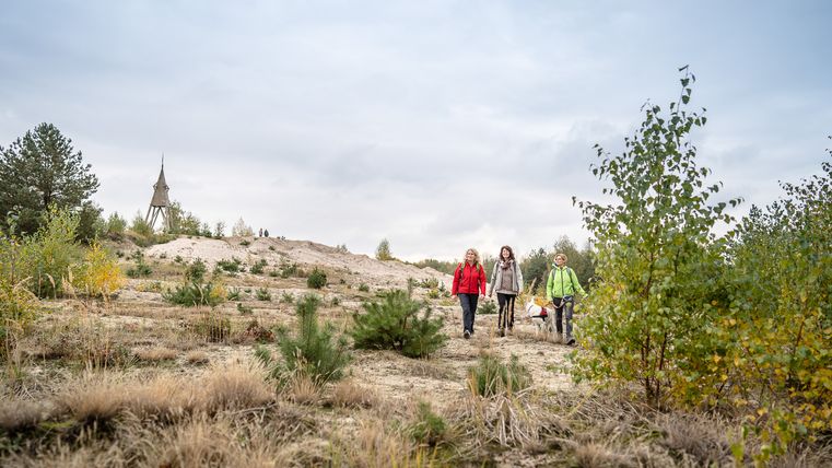 Wandern am Höller Horn auf der Sophienhöhe im indeland