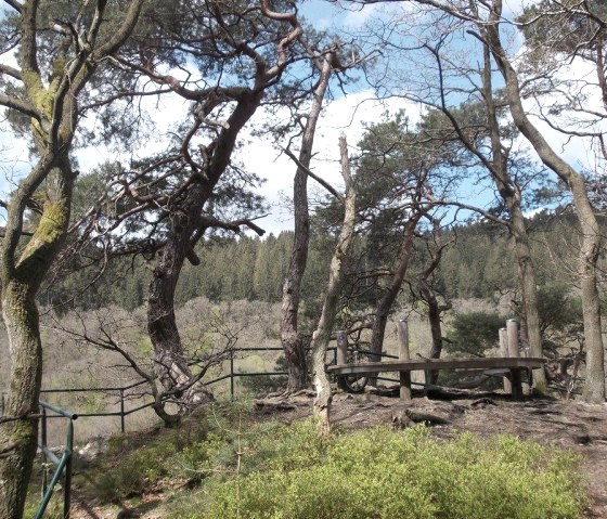 Wanderung in der Natur, © Eifel heimisch