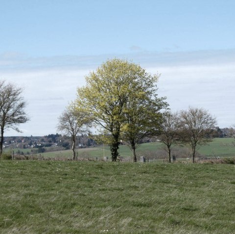 Aussicht aufs Feld, &copy; Guido Hendle