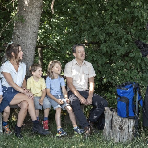 Learn more about the beaver, © Eifel Tourismus GmbH_ Vollmer
