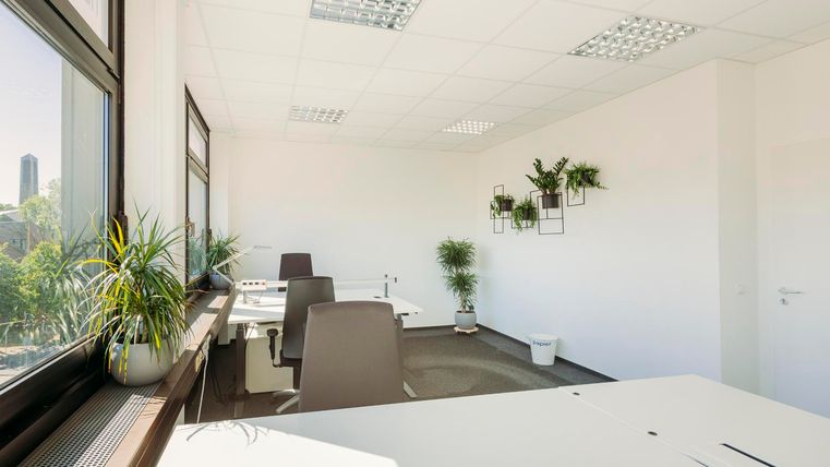 Ein modernes, helles Büro mit großen Fenstern und Pflanzen. Der Raum ist minimalistisch eingerichtet, mit einem Tisch und Stühlen.