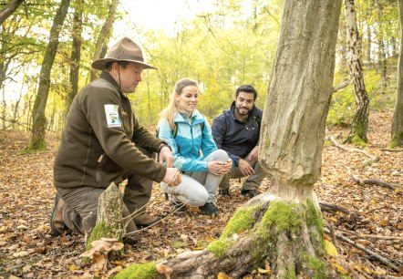 Biberspuren auf dem Wildnis-Trail, &copy; Eifel Tourismus GmbH, Dominik Ketz