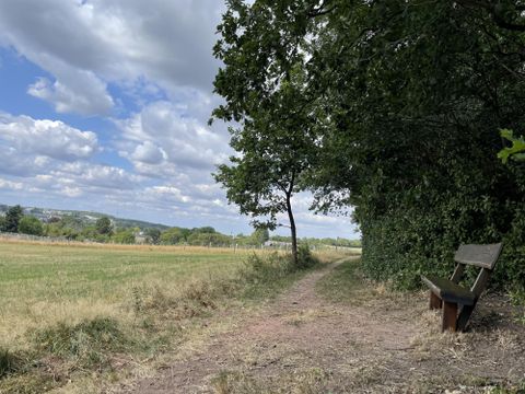 Ein schmaler Weg führt durch eine grüne Landschaft mit Bäumen und einem offenen Feld. Am Wegesrand steht eine Bank, die zum Verweilen einlädt.