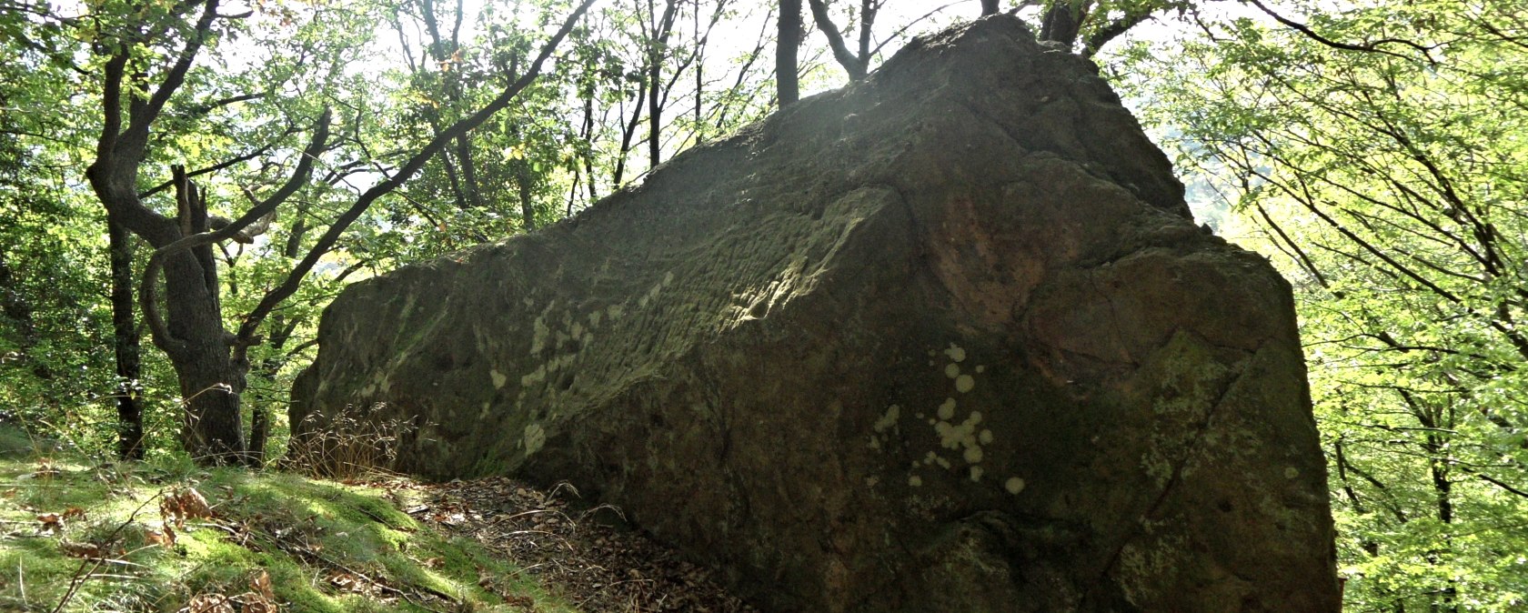 H&uuml;bsche Begleiter entlang des Wegesrandes, &copy; Karl-Heinz Rosenzweig, Der-eifelyeti.de, &copy; Der-eifelyeti.de