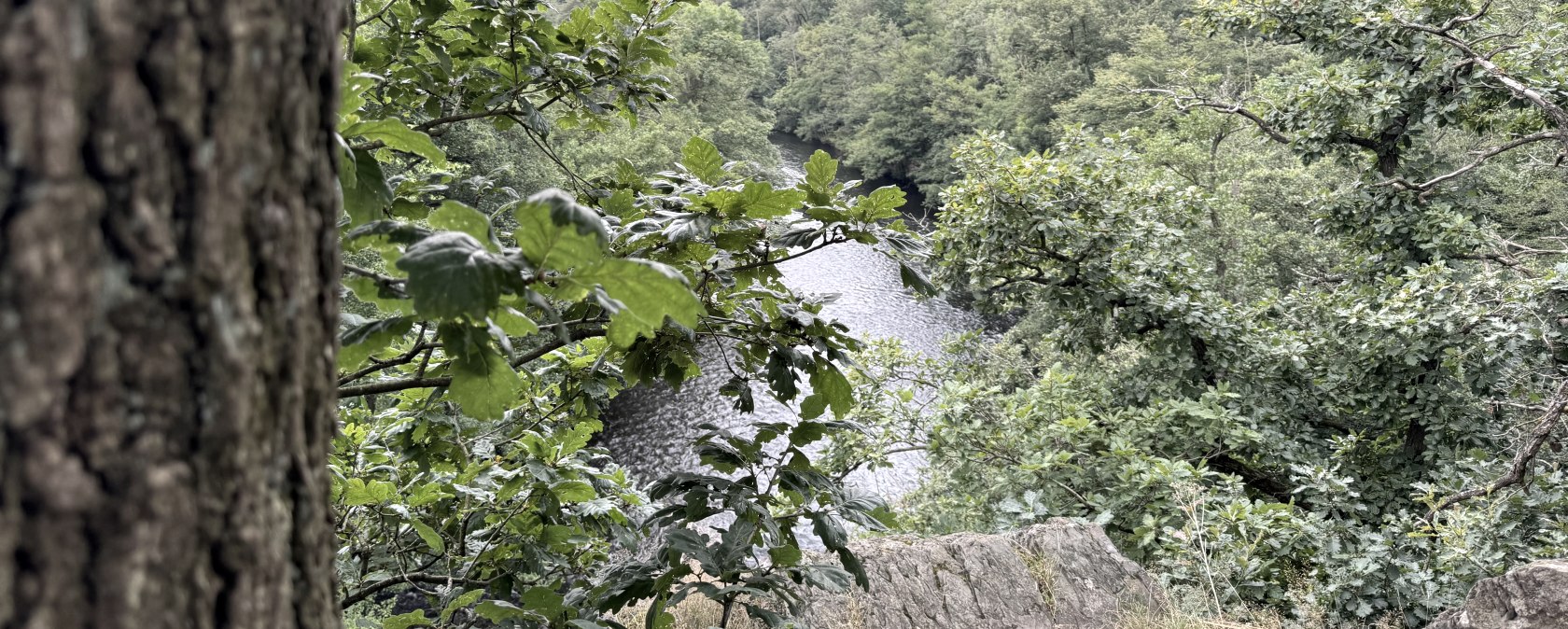 IMG_7493, &copy; Rureifel-Tourismus e.V., Dennis Winands