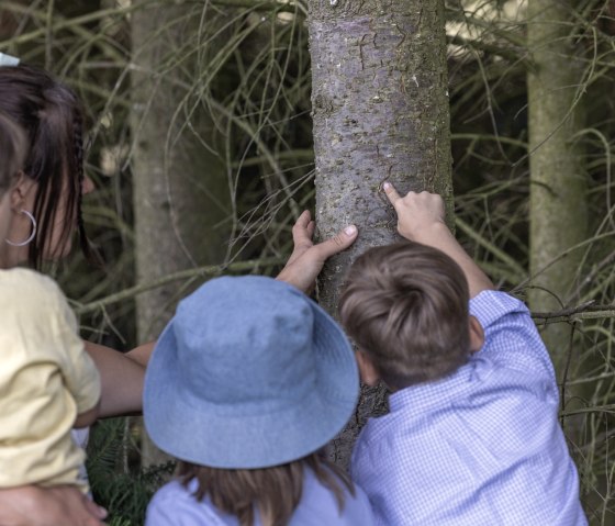 Lerne alles &uuml;ber den Lebensraum des Bibers, &copy; Eifel Tourismus GmbH_ Vollmer