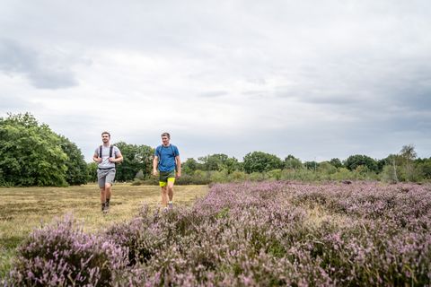 Wandern in der Drover Heide