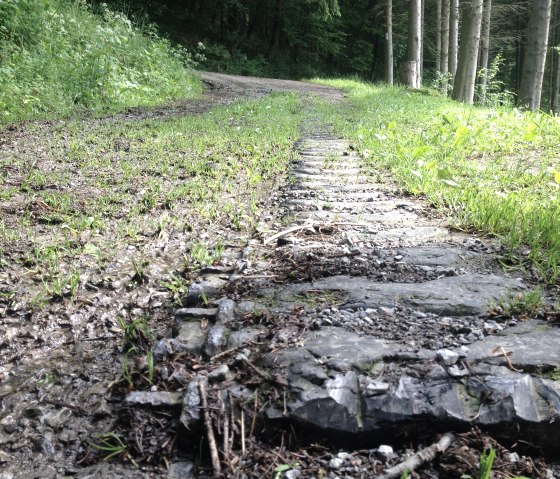 Panzerkette, &copy; FTB Adventures