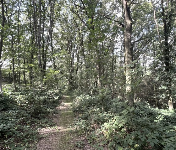 Entlang der Tour, &copy; Rureifel-Tourismus e.V., Michelle Wiesen