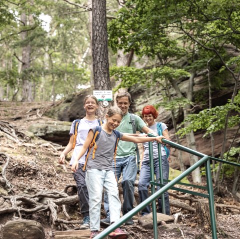 Short descent to the climbing rocks, © Eifel Tourismus GmbH Tobias Volmer