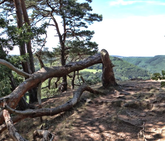 Ruraue Ausblick, &copy; http://der-eifelyeti.de/