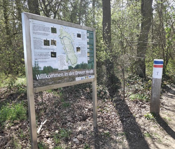 Info- & Willkommenstafel in der Drover Heide., &copy; Sophia Eckerle